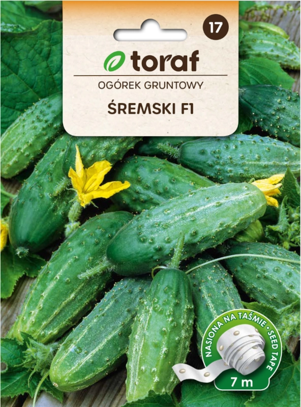 Toraf Ogórek Gruntowy Śremski F1 nasiona na taśmie do siewu sklep rajogrodnika